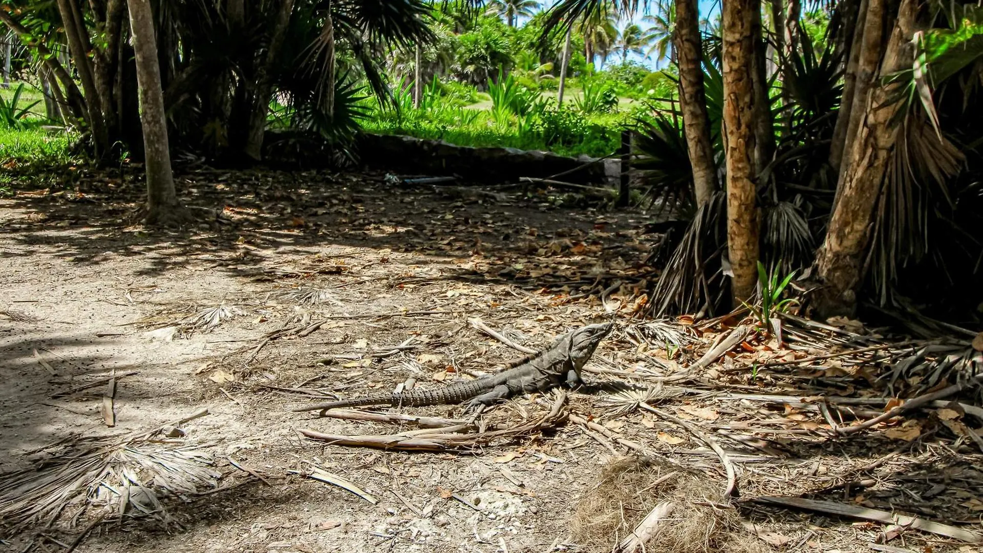 Villa Aktun Akumal